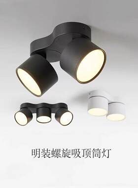 明装led天花灯客厅斗胆灯无主灯双头三头三色光圆形调光吸顶筒灯