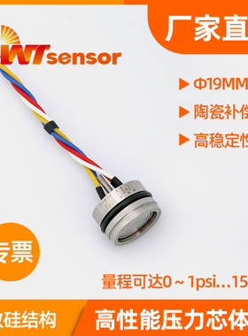 P19高性能压力芯体扩散硅充油芯体压力敏感元件硅压阻式压力芯体
