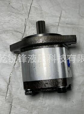 GHP-2A-D-10-FG高压齿轮泵采煤机掘进机