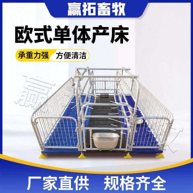 欧式单体母猪产床分娩母猪热浸锌母猪欧式产床双体母猪床养殖设备