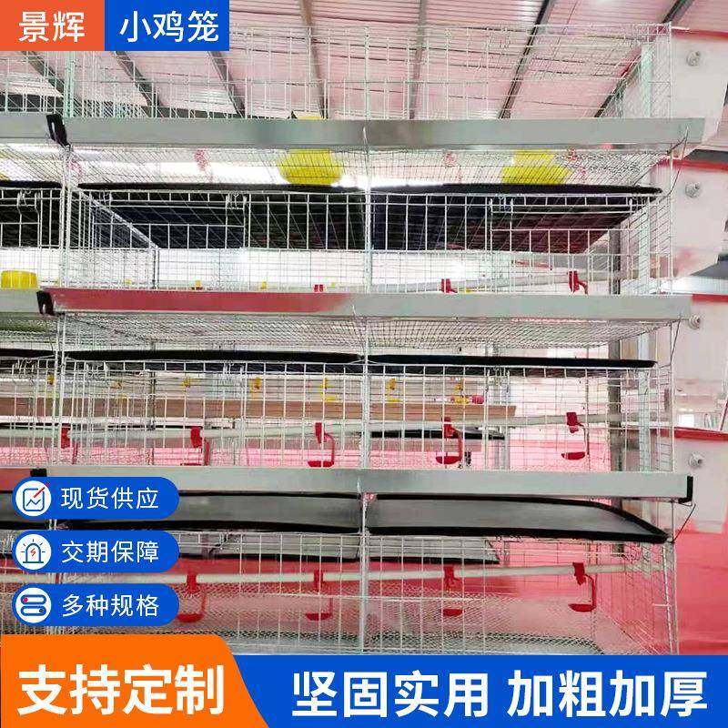 NuSun 贵宾/泰迪幼犬犬粮 2500g养鸡设备鸡笼子小鸡笼加粗雏鸡笼