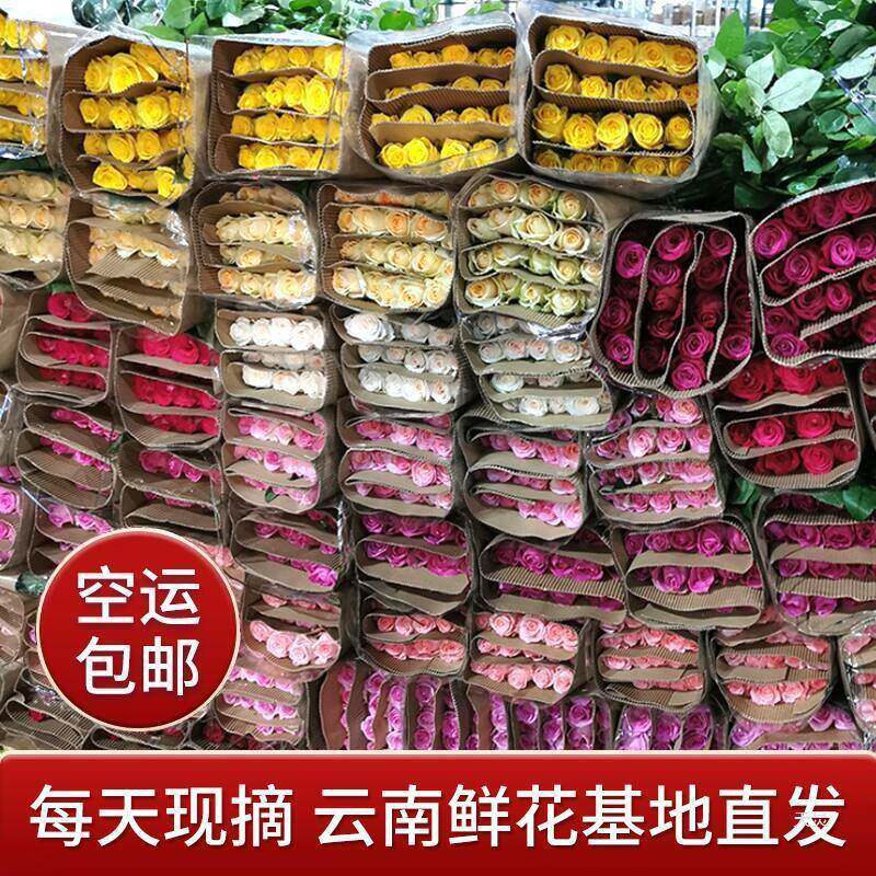 速递直发斗南基地昆明办公室玫瑰花鲜花全国云南家用直批新鲜包邮
