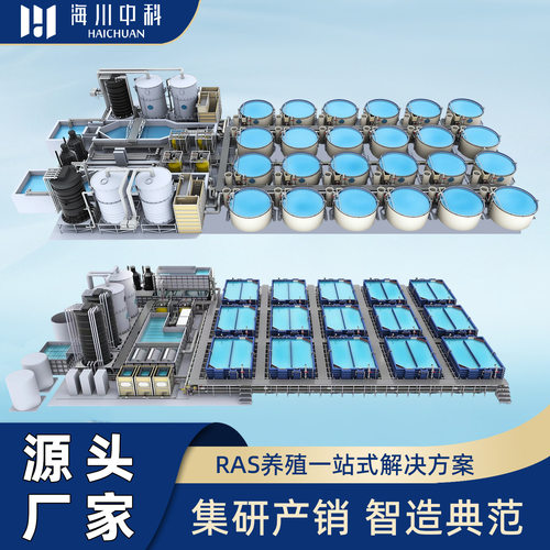 循环水养殖系统工厂化高密度水产大型养鱼设备养虾过滤器暂养育苗
