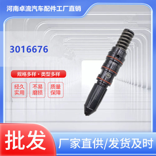 K19柴油PT喷油器30166763016675305312430531263053125