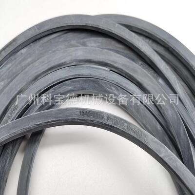 FORSHEDAV-RINGV-250L密封圈TWVL02500-N6T50密封件VAVSVL