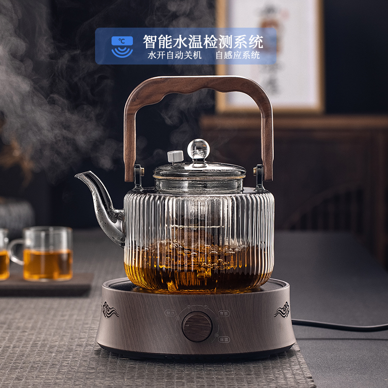 日式玻璃煮茶壶围炉烧水壶大容量蒸煮两用茶壶煮白茶壶煮茶器家用