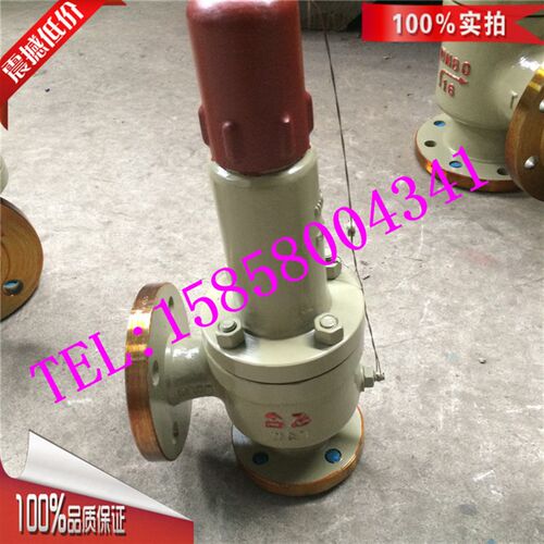 立式液相回流阀 AHF5C安全回流阀 碳钢安全回流阀