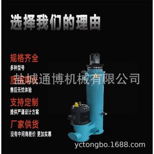 大连DYTZ1750 50电液推杆 320