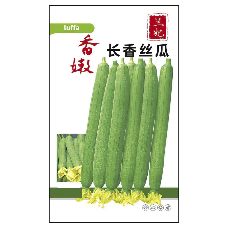 兰妃蔬菜种子香嫩长香丝瓜种子
