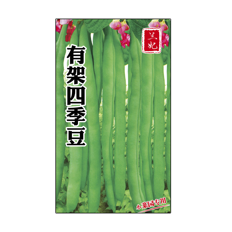 兰妃豆角种子四季豆种子