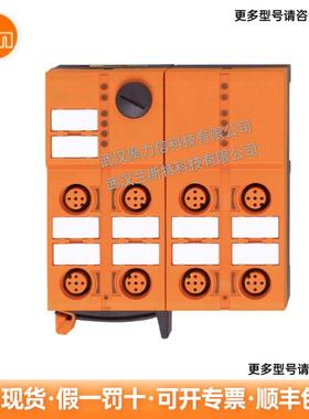 AC5236  带快速安装技术的现场模块 现货