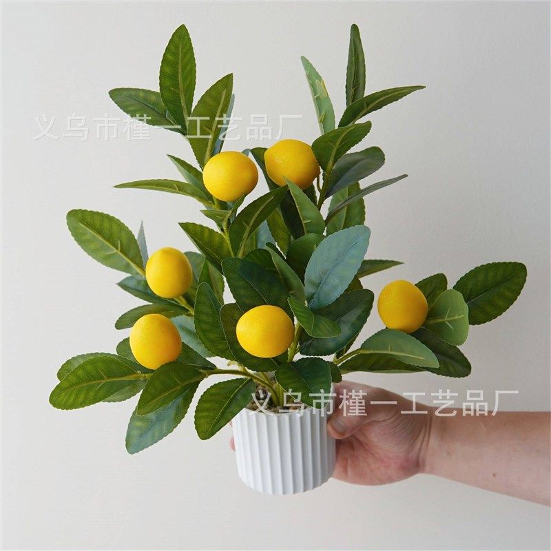仿真柠檬绿植盆栽柠檬果小盆栽摄影道具桌面摆件书桌,鲜花速递/花卉仿真/绿植园艺,仿真果蔬,淘宝优惠券,粉丝福利购,淘宝优惠卷
