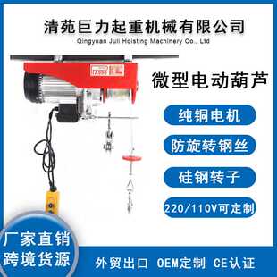 巨力起重微型电动葫芦220V家用楼顶小吊机升降机小型钢丝绳电葫芦