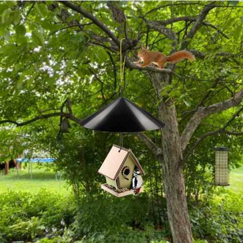 2022新款松鼠挡板squirrel flapper防偷吃鸟食旋转悬挂喂鸟器组