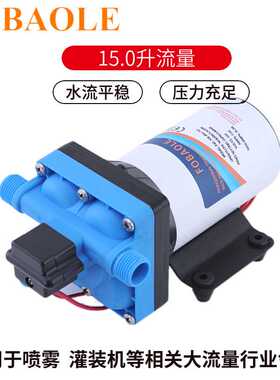 42款15升大流量房车泵12V24V直流电动增压游艇高压隔膜清水抽水泵