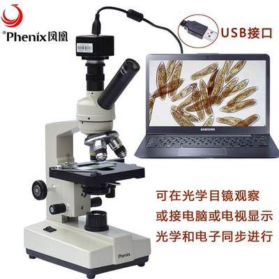 凤凰光学XSP-35TV标本切片科普水产640X/1600X拍照视频学生显微镜
