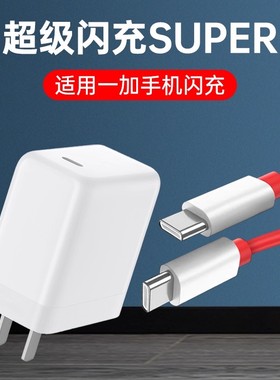 适用一加充电器9Pro超级闪充1+8T快充9插头9R手机9RT快速充电双Type-C接口数据线加长2米通用OnePlus