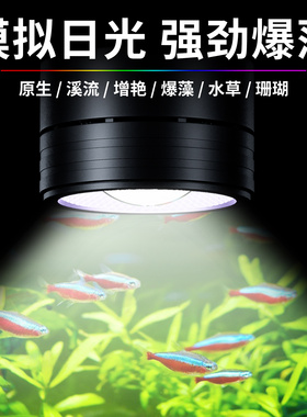 2025新款鱼缸灯超亮WRGB全光谱筒灯原生态溪流缸灯专业爆藻出苔灯