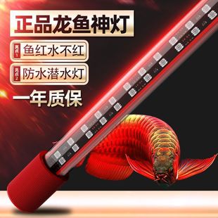 led鱼缸灯防水族箱专用高亮增艳可调节三色全光谱节能照明灯管