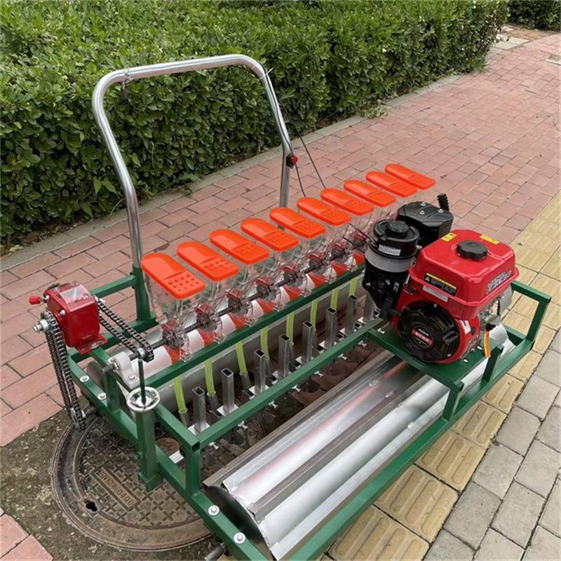 韩式十行汽油精播机 免间苗蔬菜种植机 汽油自走式播种机