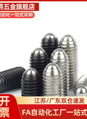 不锈钢球头柱塞 BSZF BSX 3 4 5 6 8 10 12 16