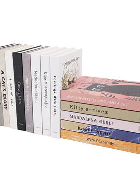 猫咖装饰书道具 样板房儿童房真书摆件  样板间女孩房陈列饰品