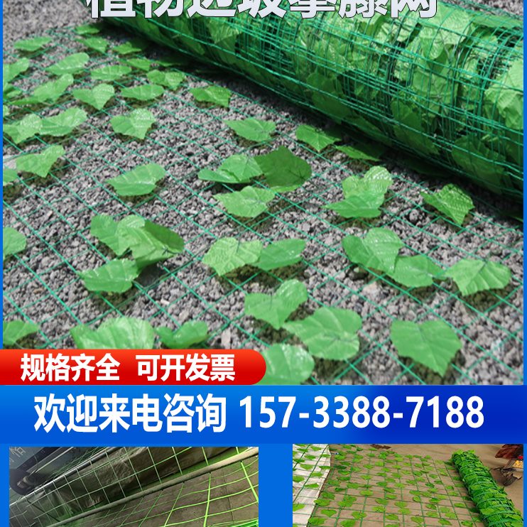 爬藤塑防护绿化坡绿色植物网防护网家藤条厂攀爬网钢网网格栅边网