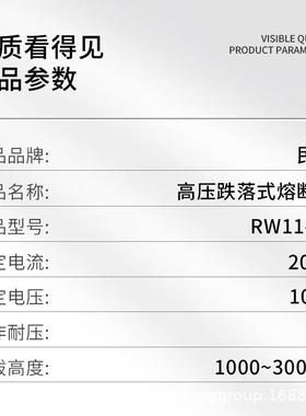 【折扣价】RW3-10/100A鸭嘴式户外高压跌落式熔断器10kv柱上开关
