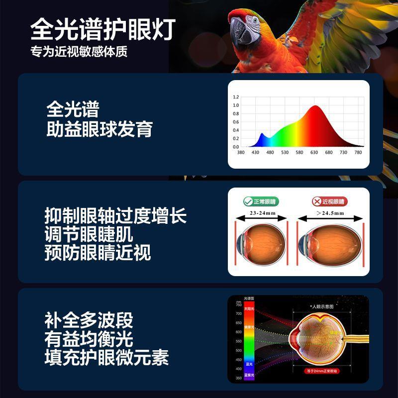 【折扣价】led落地灯超亮客厅卧室学习立式台灯落地护眼全光谱钢