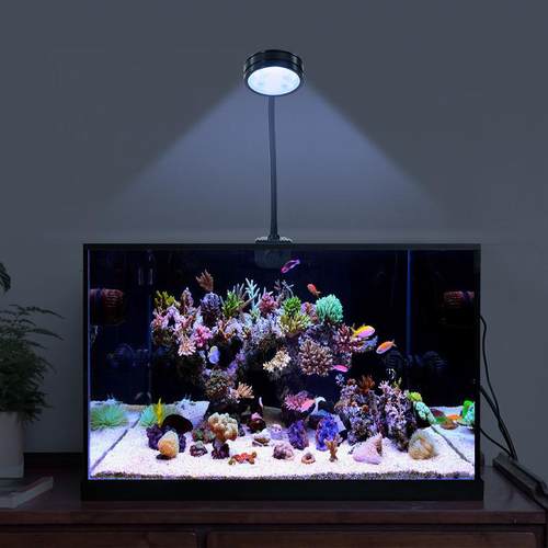 【折扣价】直供可调亮度海缸灯微缸珊瑚灯海水藻缸灯白光蓝光切换