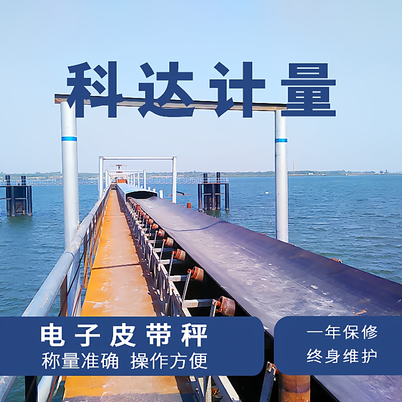 厂家现货智能皮带秤砂石煤粉矿石陶土沙土粮食高精度电子输送秤