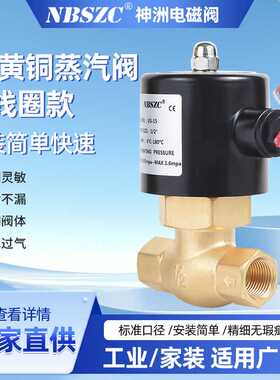 NBSZC 神洲 厂家源头供应 铜线圈 4分蒸汽电磁阀 US-15 AC220V