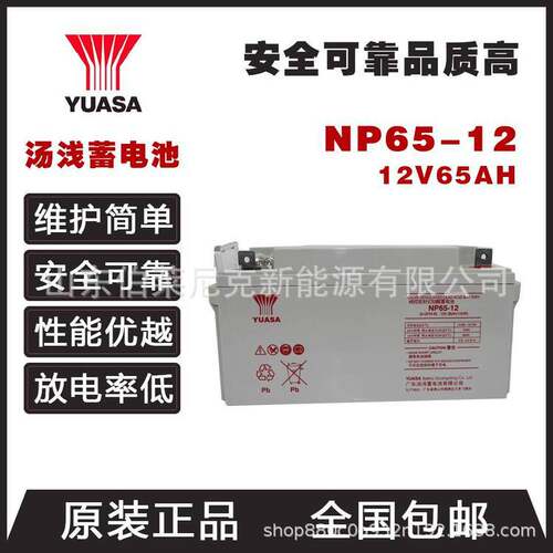 汤浅蓄电池NP65-1212V65AH直流屏电力UPS/EPS应急电源太阳能用
