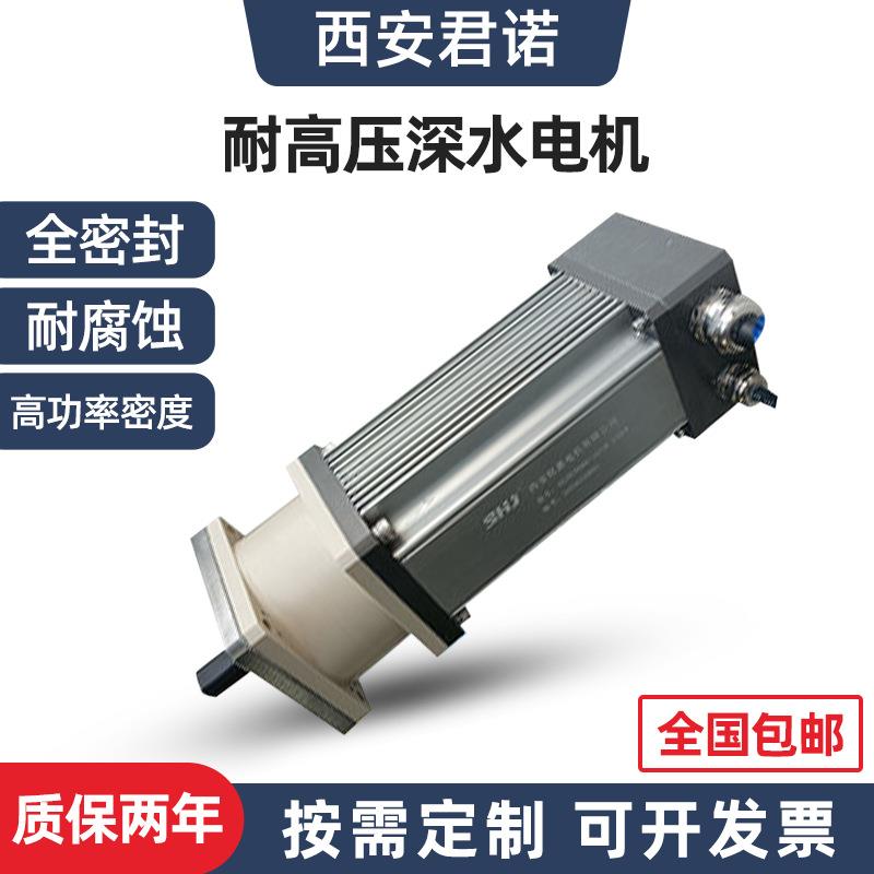 世嘉深水电机水下6000m全密封防水电机水下耐压60MPa潜水深海电机