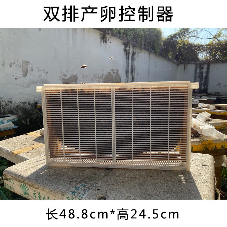 板王群养殖隔王控制器多笼防盗王群饲养防双蜜蜂片隔王栅产卵笼逃