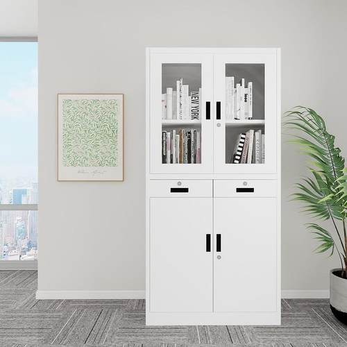 钢制文件柜中二斗柜玻璃门带锁铁皮柜资料柜抽屉柜办公室铁皮柜子