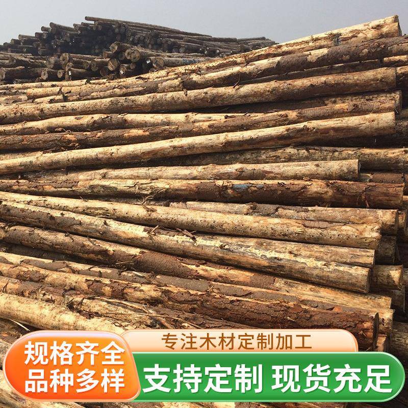 一手松木桩澳松木桩澳松打桩木杉木打桩木澳松原木桩
