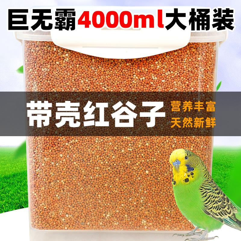 鹦鹉饲料鸟粮新品红黄谷子带壳