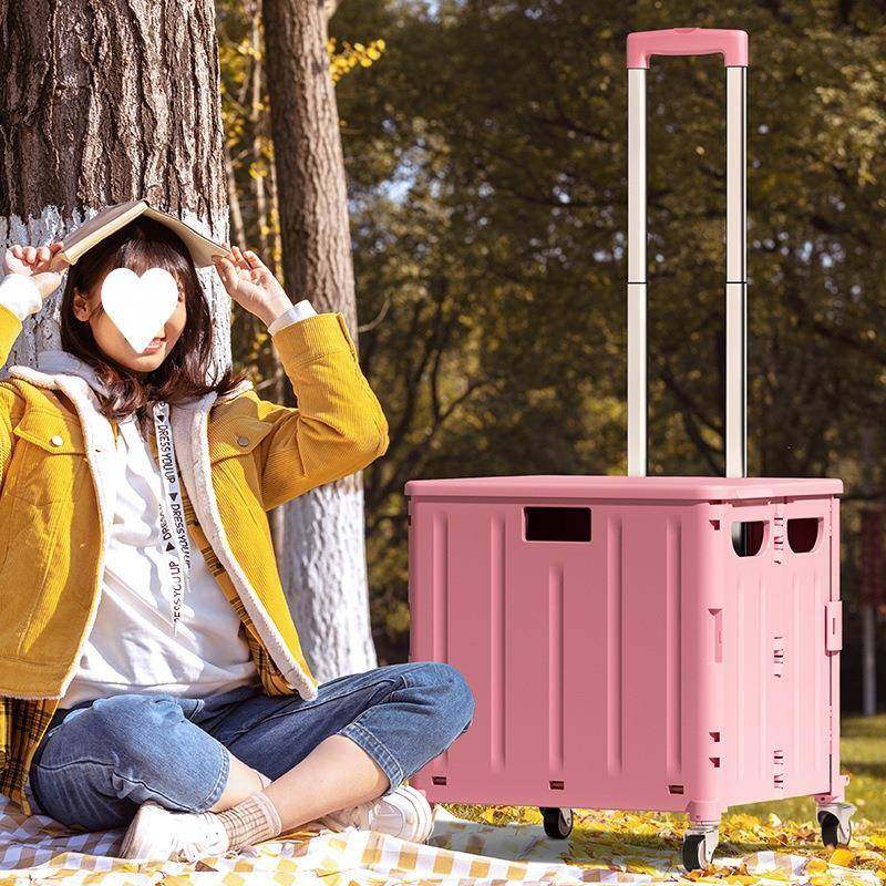 露营小推车摆摊收纳折叠行李箱家用购物小拉车储物整理拉杆买菜车,鲜花速递/花卉仿真/绿植园艺,其它园艺用品,淘宝优惠券,粉丝福利购,淘宝优惠卷