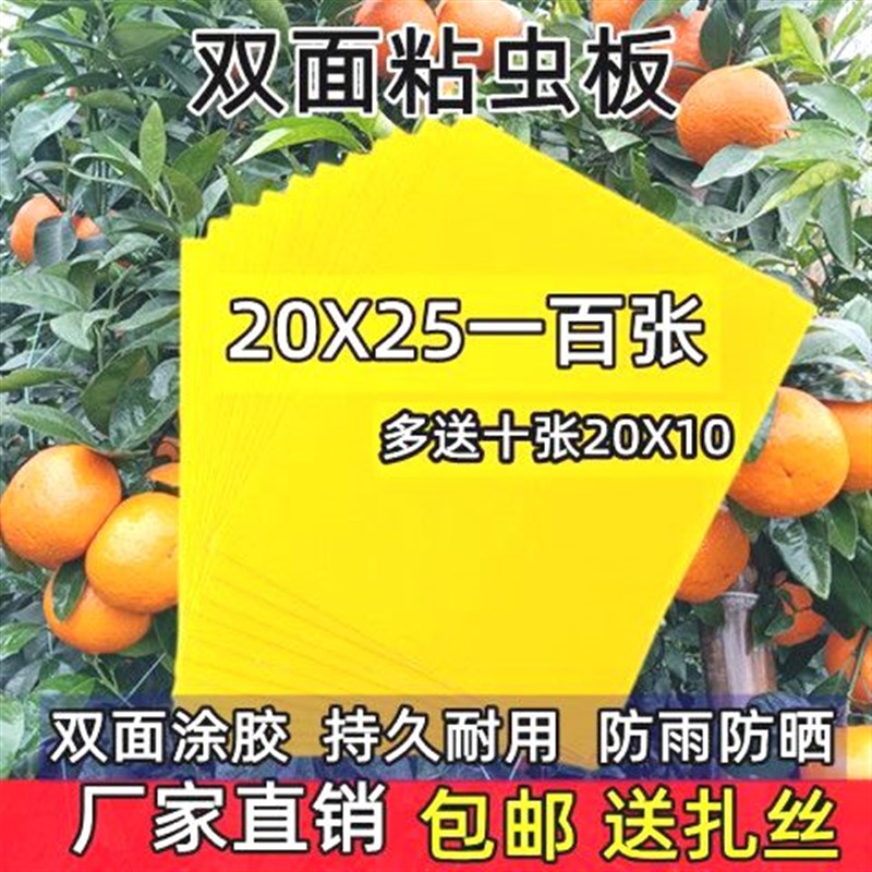 柑橘瓜果实蝇针蜂黄板双面粘虫板果园大棚胶粘板蓟马篮板引诱虫板