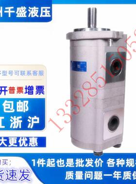 合肥长源双联齿轮泵CBQLCH-F540/F532-CFH、CFHL正品，现货，价优