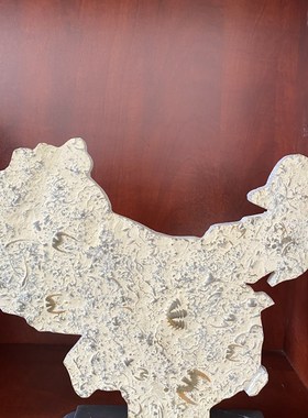 燕子石奇石古生物观赏工艺礼品摆饰礼品网红摆件化石地图虫