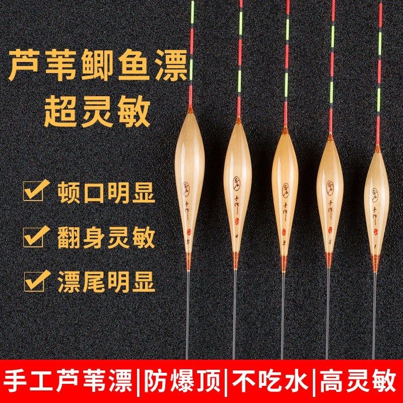 芦苇浮漂正卢鱼漂轻口小碎目鲫鱼漂顿口高灵敏醒目冬钓鲫鱼专用漂,户外/登山/野营/旅行用品,浮漂,淘宝优惠券,粉丝福利购,淘宝优惠卷