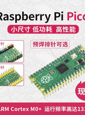 微雪 p Raberry P P RP0处理器带排针套件
