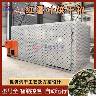 地瓜叶烘干房 红薯茎番薯叶甘薯叶烘干设备 空气能红薯叶烘干机