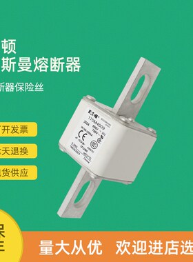 全新快速熔断器保险170M4609 170M4610 170M4611 170M4612