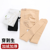 孕妇连裤 袜光腿神器加绒加厚托腹可调节孕晚期外穿保暖肉色打底袜