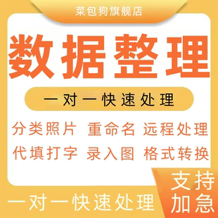 数据整理文件人工远程代excel表格录入扫描收集文件电脑pdf办公图