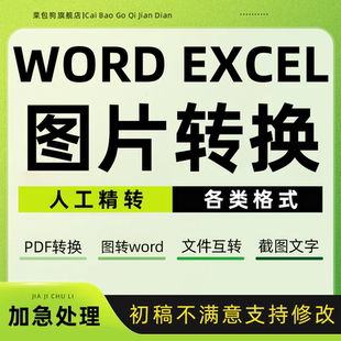 图片转换word文档扫描文件excel格式pdf/ppt/录入打字试卷繁体代