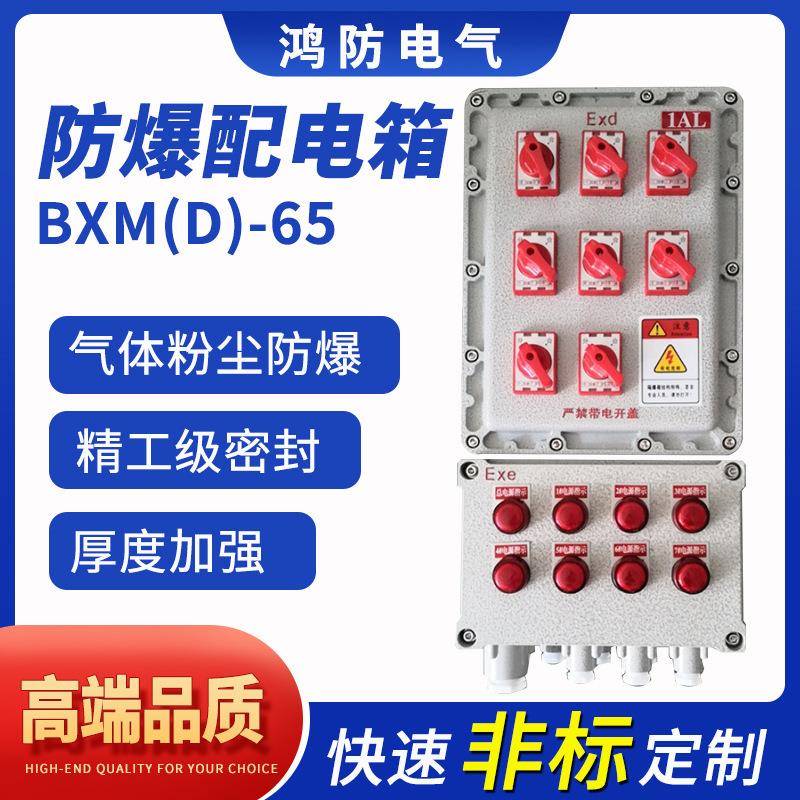 BXMD防爆照明动力配电箱按图生产IP65适用室内室外各种场景